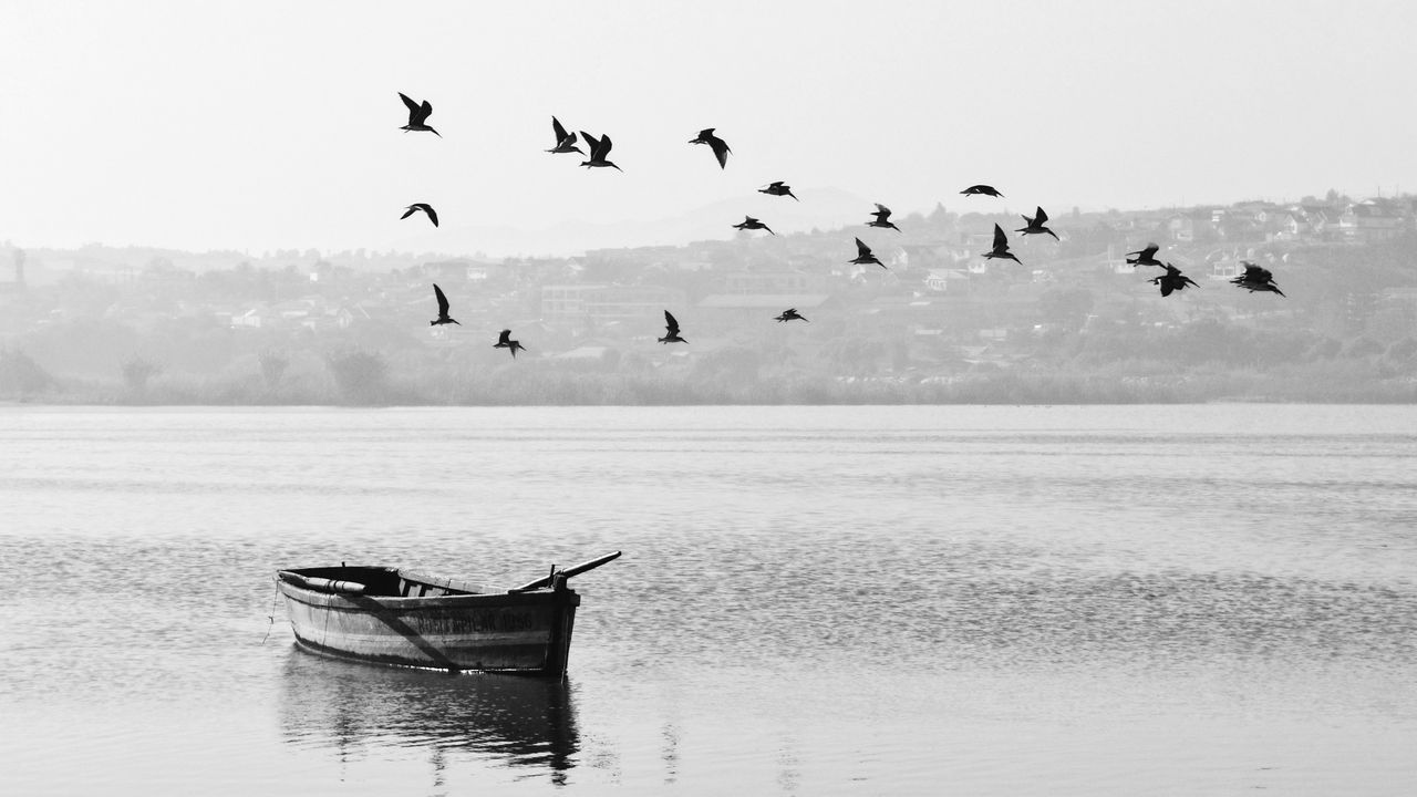Wallpaper lake, boat, birds, flock, nature