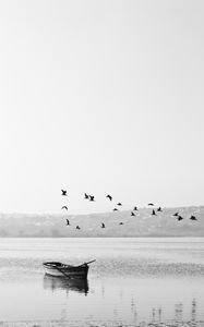 Preview wallpaper lake, boat, birds, flock, nature