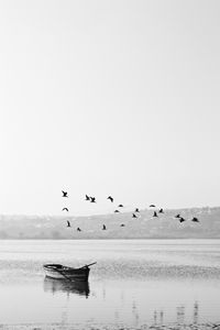 Preview wallpaper lake, boat, birds, flock, nature