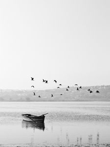 Preview wallpaper lake, boat, birds, flock, nature