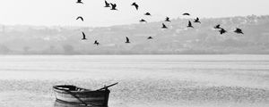 Preview wallpaper lake, boat, birds, flock, nature