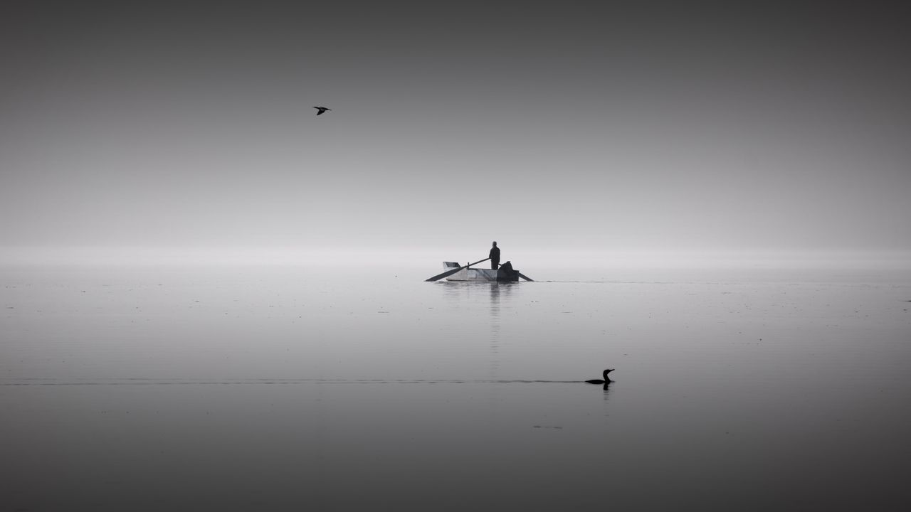 Wallpaper lake, boat, calm, horizon, silence, man, birds, bw