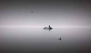 Preview wallpaper lake, boat, calm, horizon, silence, man, birds, bw