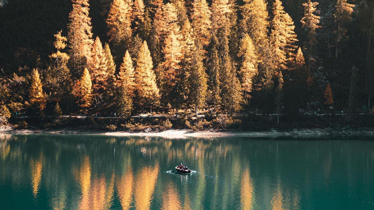 Wallpaper lake, boat, trees, landscape, autumn