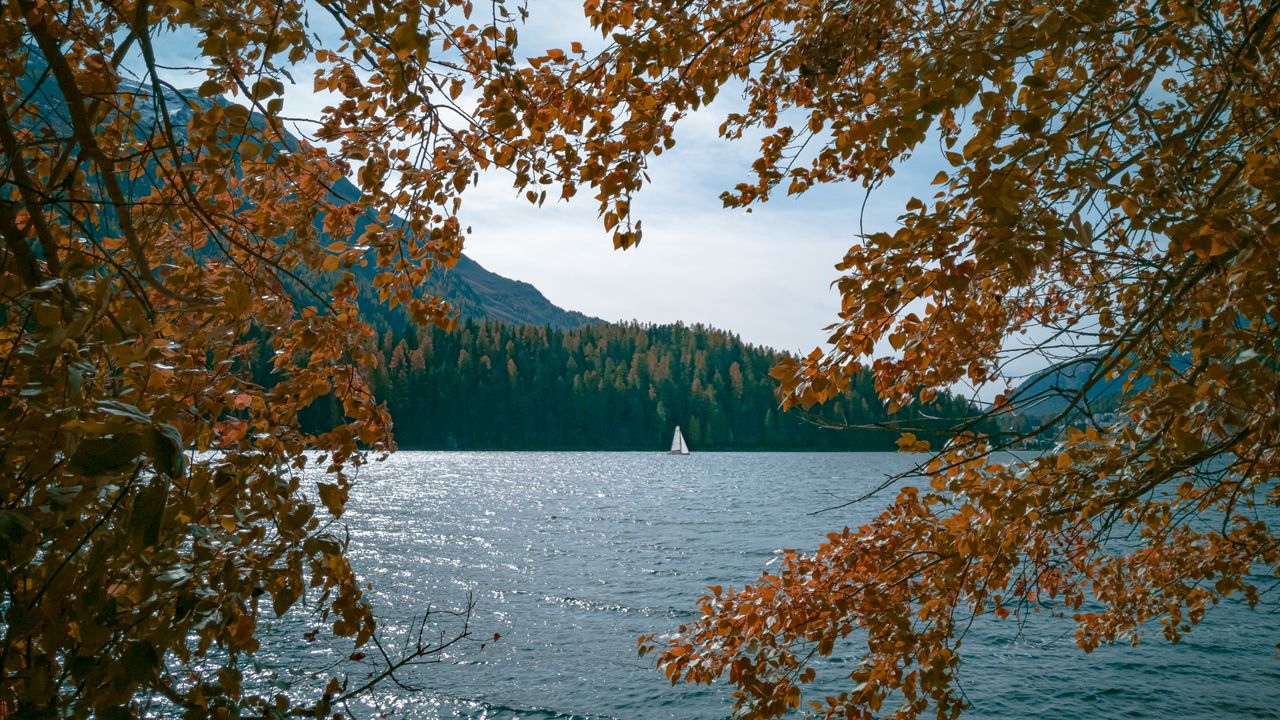 Wallpaper lake, boat, trees, branches, shore