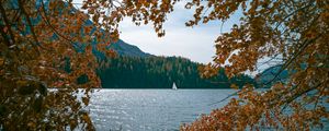 Preview wallpaper lake, boat, trees, branches, shore