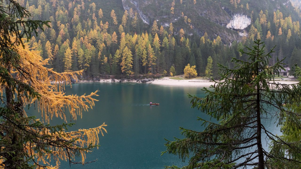 Wallpaper lake, boat, water, shore, trees
