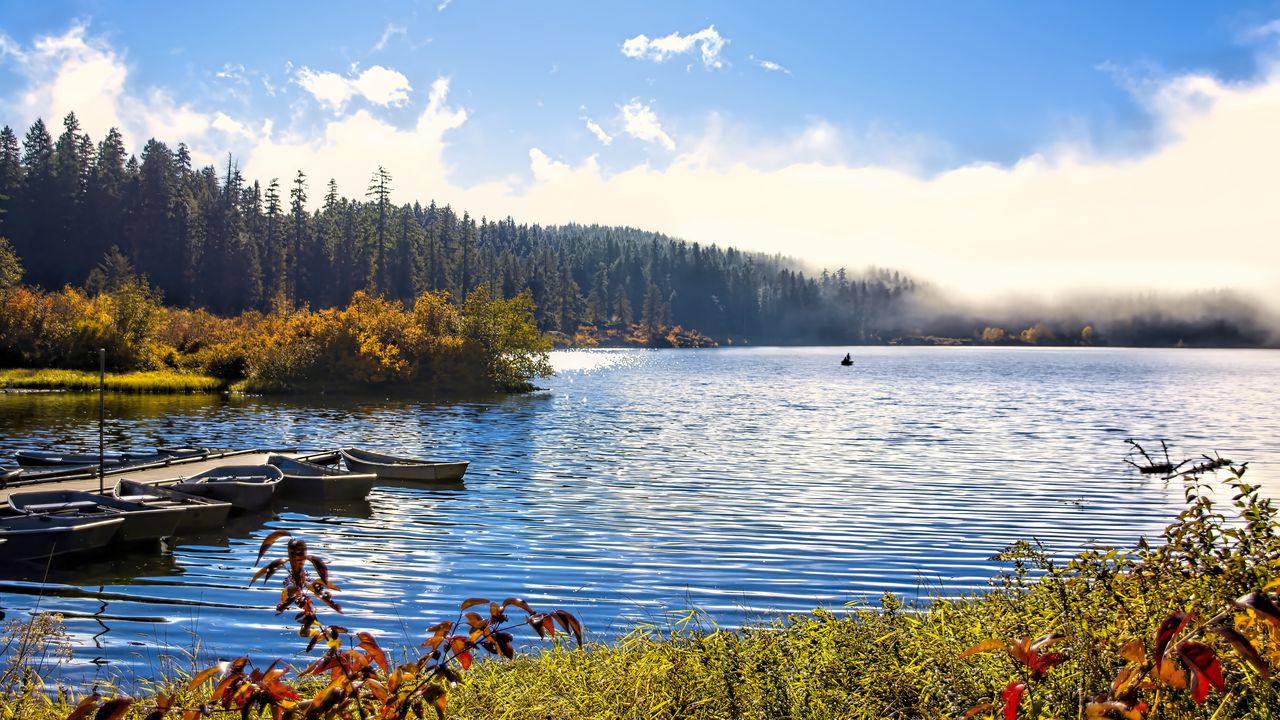 Wallpaper lake, boats, autumn, trees