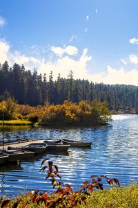 Preview wallpaper lake, boats, autumn, trees