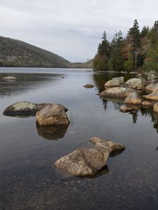 Preview wallpaper lake, bottom, stones, landscape, trees