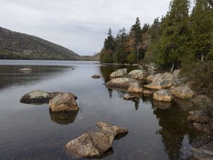 Preview wallpaper lake, bottom, stones, landscape, trees