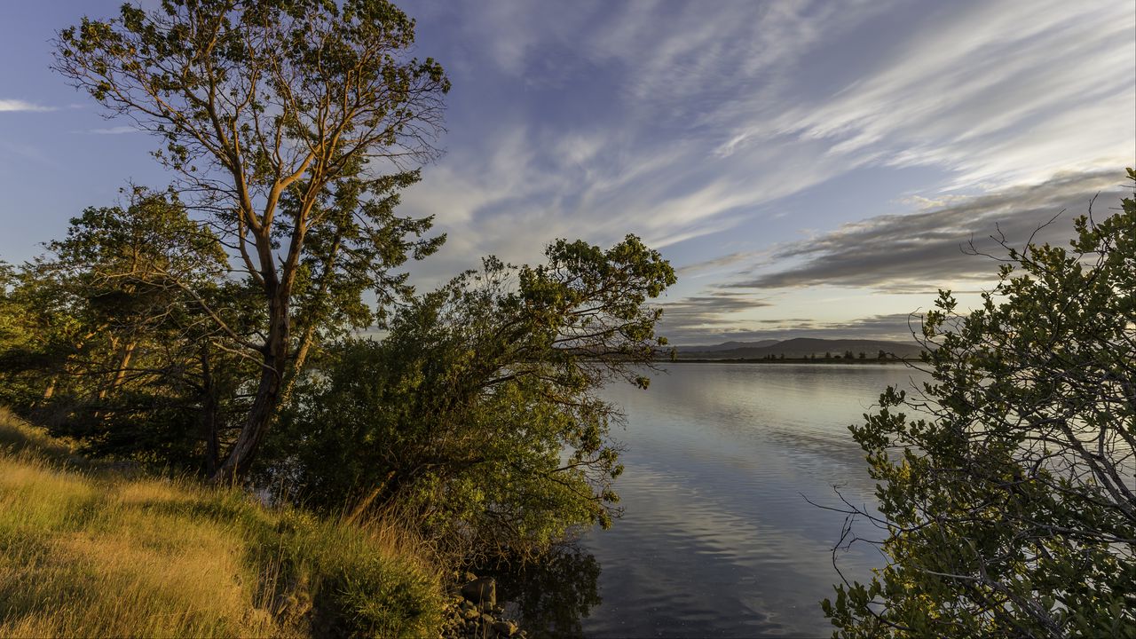 Wallpaper lake, branches, horizon, clouds