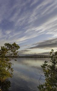 Preview wallpaper lake, branches, horizon, clouds