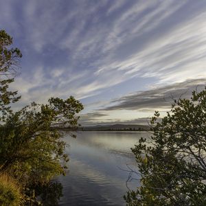 Preview wallpaper lake, branches, horizon, clouds