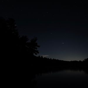 Preview wallpaper lake, branches, silhouette, black, night