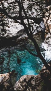 Preview wallpaper lake, branches, stones, water