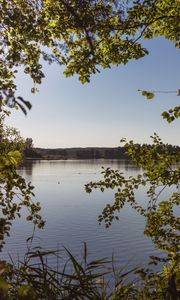 Preview wallpaper lake, branches, trees, leaves, frame