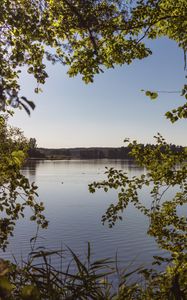 Preview wallpaper lake, branches, trees, leaves, frame