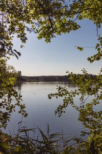 Preview wallpaper lake, branches, trees, leaves, frame