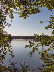 Preview wallpaper lake, branches, trees, leaves, frame