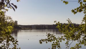 Preview wallpaper lake, branches, trees, leaves, frame