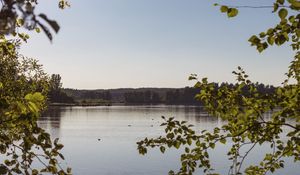 Preview wallpaper lake, branches, trees, leaves, frame