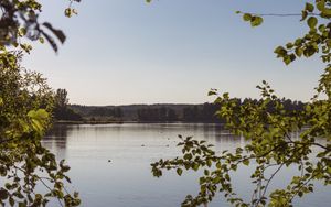 Preview wallpaper lake, branches, trees, leaves, frame