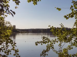 Preview wallpaper lake, branches, trees, leaves, frame