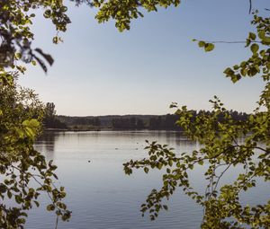 Preview wallpaper lake, branches, trees, leaves, frame