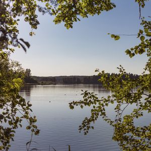 Preview wallpaper lake, branches, trees, leaves, frame