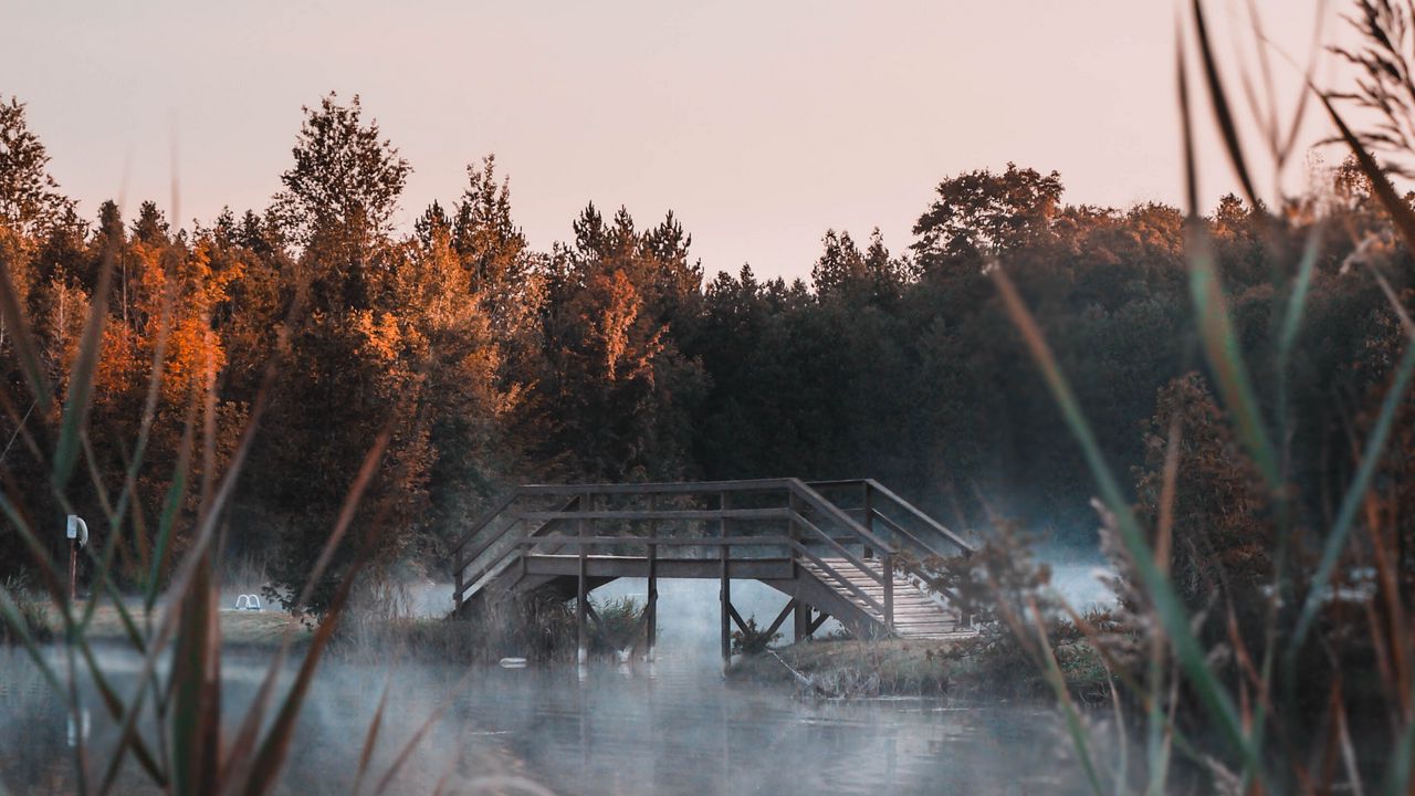 Wallpaper lake, bridge, fog, trees