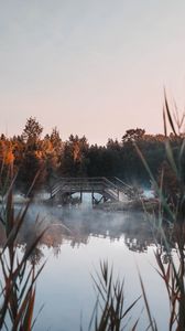 Preview wallpaper lake, bridge, fog, trees