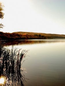 Preview wallpaper lake, canes, sun rays, trees, coast