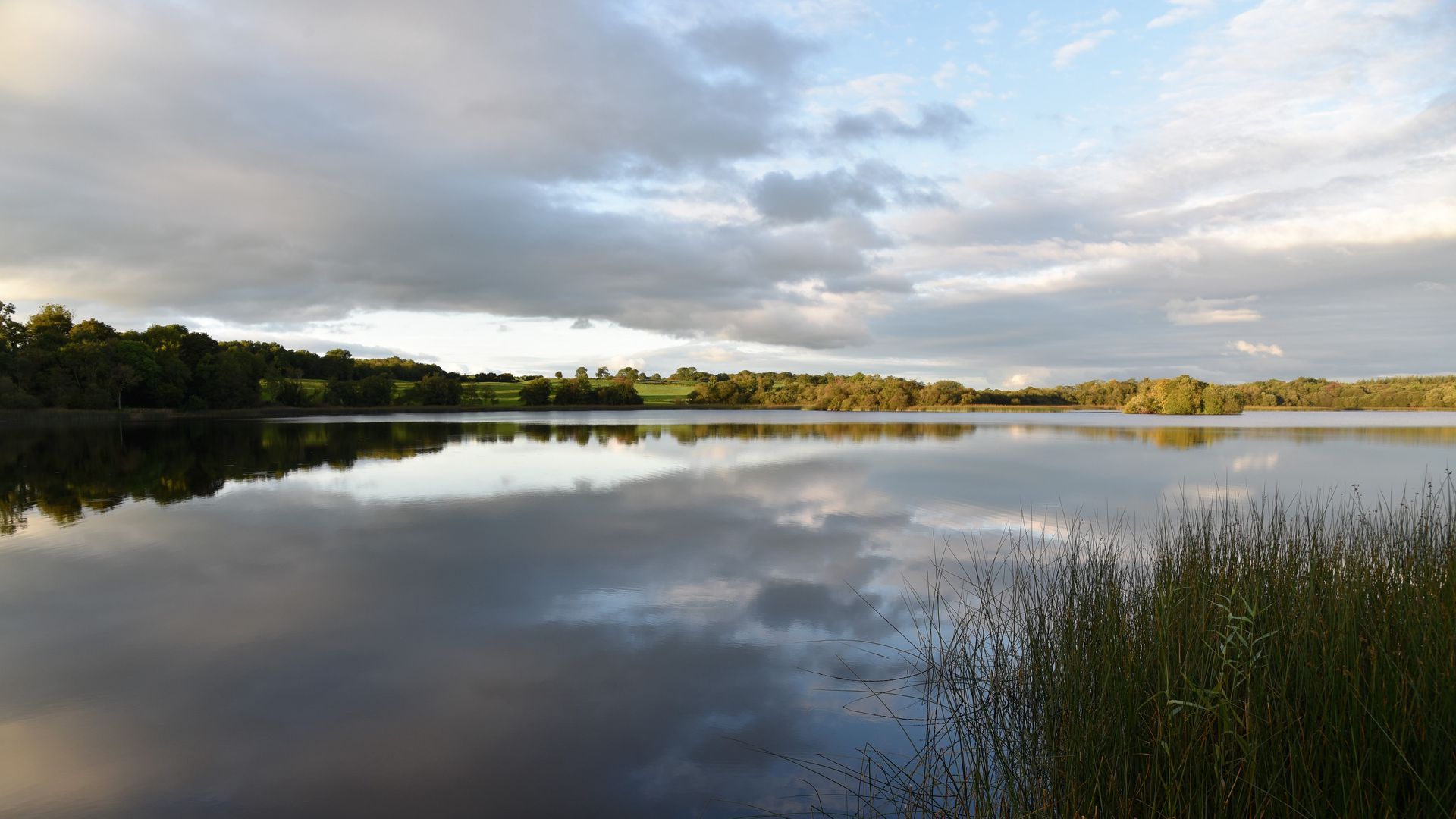 Download wallpaper 1920x1080 lake, clouds, sky, trees, landscape full ...