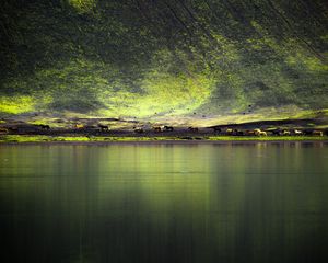 Preview wallpaper lake, coast, hill, horses, nature