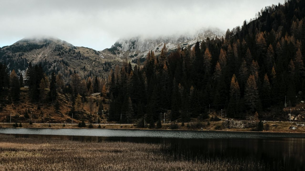 Wallpaper lake, coast, mountains, forest, trees
