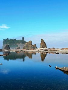 Preview wallpaper lake, coast, pebble, water, transparent, wood