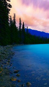 Preview wallpaper lake, coast, spruce, trees, mountains