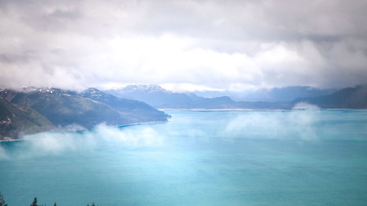 Wallpaper lake, coast, trees, fog, sky