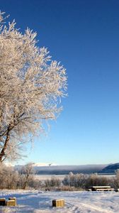 Preview wallpaper lake, coast, winter, hoarfrost