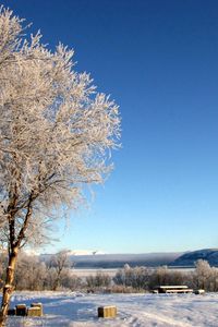 Preview wallpaper lake, coast, winter, hoarfrost