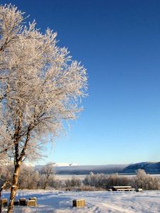 Preview wallpaper lake, coast, winter, hoarfrost