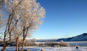 Preview wallpaper lake, coast, winter, hoarfrost