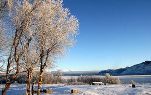 Preview wallpaper lake, coast, winter, hoarfrost