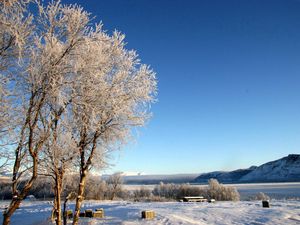 Preview wallpaper lake, coast, winter, hoarfrost