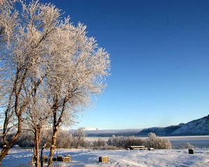 Preview wallpaper lake, coast, winter, hoarfrost