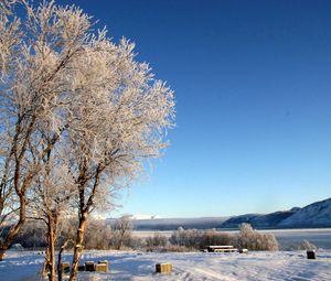 Preview wallpaper lake, coast, winter, hoarfrost