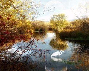 Preview wallpaper lake, crane, phantom, trees, birds