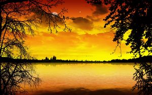 Preview wallpaper lake, decline, orange, trees, branches, outlines, moon, star