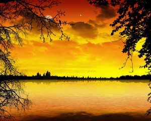 Preview wallpaper lake, decline, orange, trees, branches, outlines, moon, star